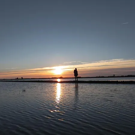 La Caseta Del Canal Deltebre